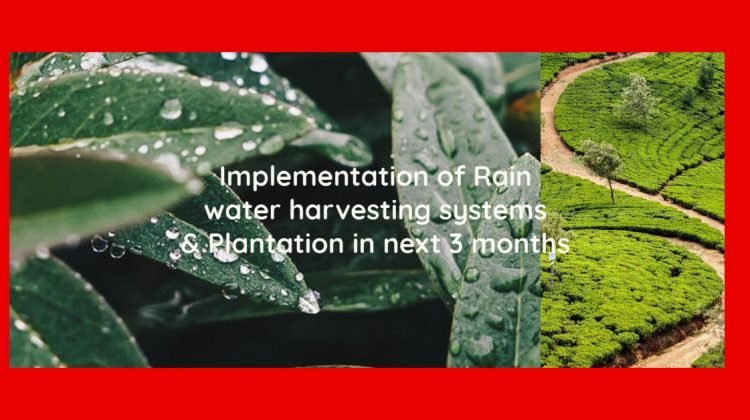 Implementation of Rain water harvesting systems & Plantation in next 3 months