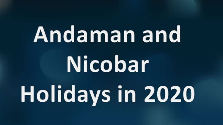 Andaman and Nicobar Holidays in 2020